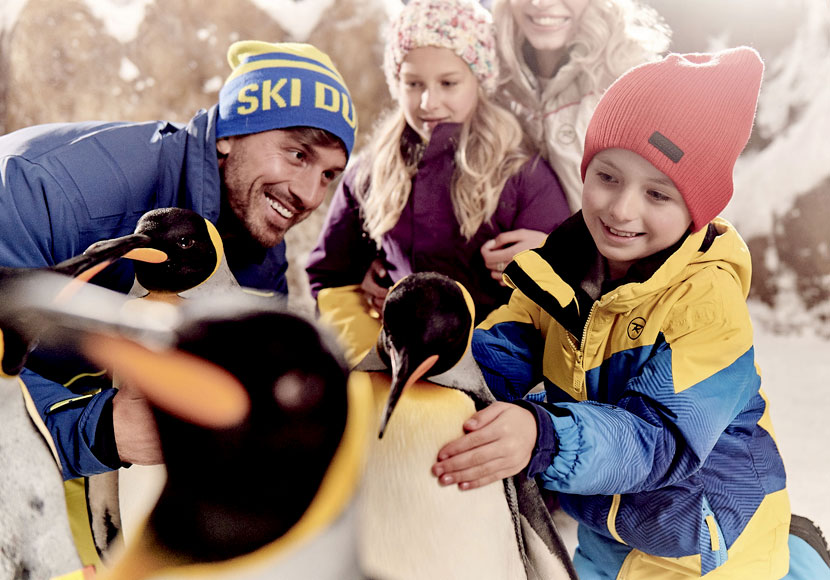 Family Playing with Penguins in Ski Dubai